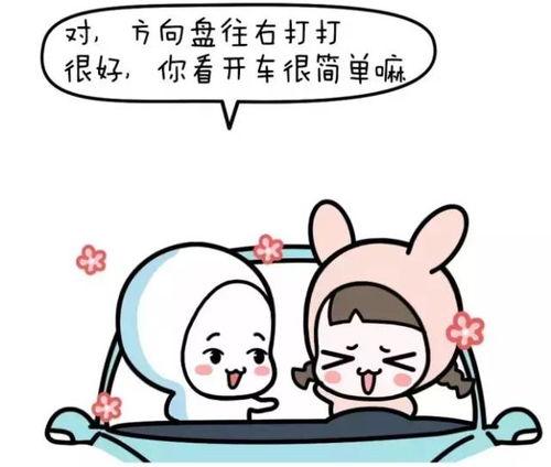 学车教练爆料怎么办啊视频,视频内容深度解析